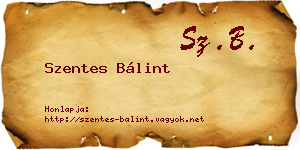 Szentes Bálint névjegykártya